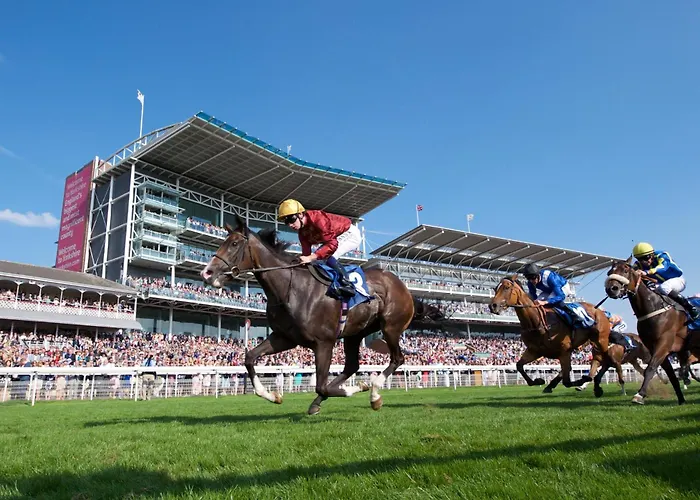 51 Main Avenue Luxurious Modern House With Garden & Parking Pass The Keys Semesterbostad