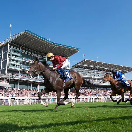 51 Main Avenue Luxurious Modern House With Garden & Parking Pass The Keys Vakantiehuis